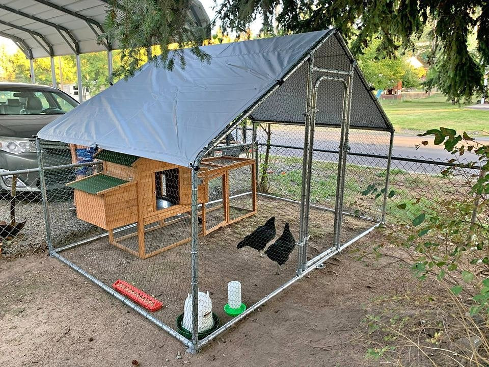 Large Walk-in Poultry Cage Chicken Hen House for Farm Use
