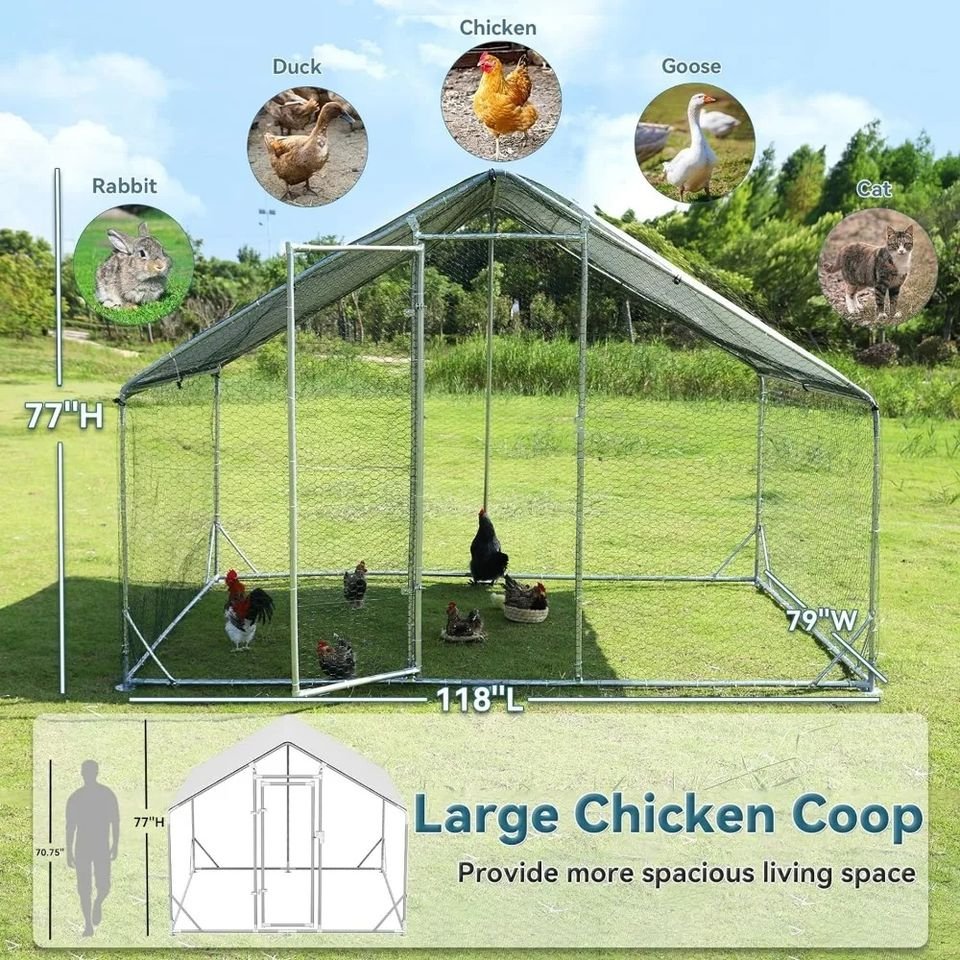 Large Walk-in Poultry Cage Chicken Hen House for Farm Use
